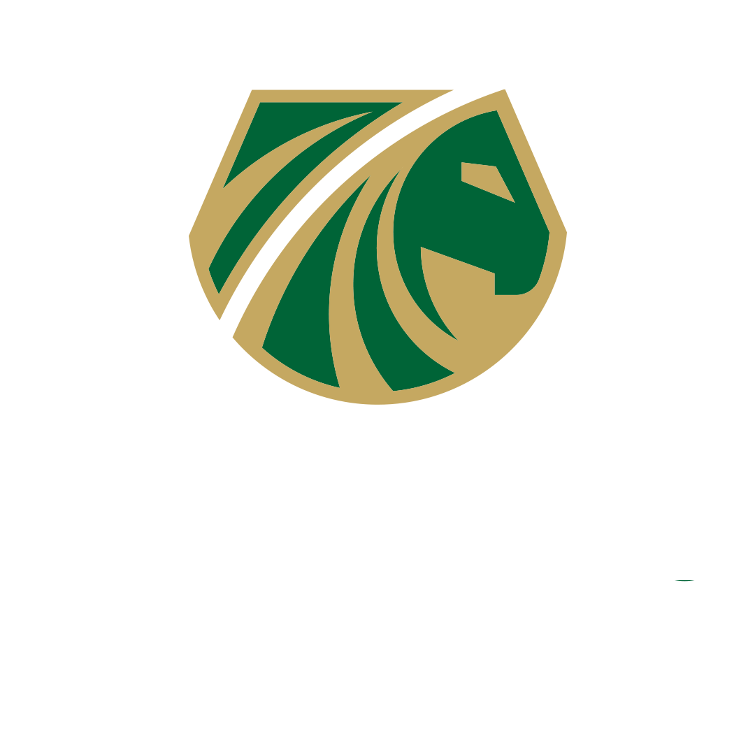 Brunello Seguros